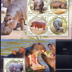 SIERRA LEONE 2016, Fauna, serie neuzata, MNH