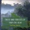 Trees and Forests of Tropical Asia: Exploring Tapovan