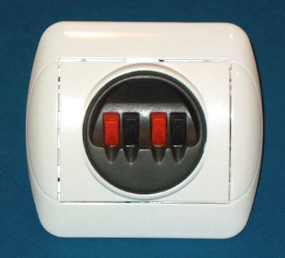CONECTOR BOXA X4 SUB TENCUIALA foto