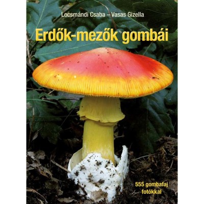 Erdők-mezők gomb&amp;aacute;i - Jav&amp;iacute;tott ut&amp;aacute;nnyom&amp;aacute;s - Locsm&amp;aacute;ndi Csaba foto