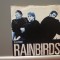 RainBird &ndash; BluePrint /It&rsquo;s All Right (1987/Mercury/RFG) - Vinil/Vinyl Single/NM+