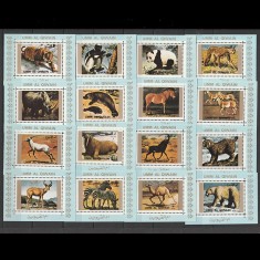 Fauna - Animale - Umm Al Qiwain 1972