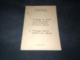 TEHNOLOGII DE CULTURA LA PLANTELE FURAJERE PENTRU PRODUCERE DE FURAJ 1984