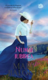 Numai iubirea - Paperback brosat - Mary Balogh - Litera