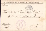 HST A709 Corespondență 1918 preot Silviu Bichicean Nerău Timiș Banat