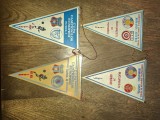 LOT 4 FANIOANE- STEAUA BUCURESTI + ROMANIA *** PRET PENTRU INTREG LOTUL