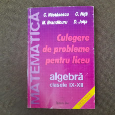 CULEGERE DE PROBLEME PENTRU LICEU CLASELE IX-XII C NASTASESCU 2004 -26/1