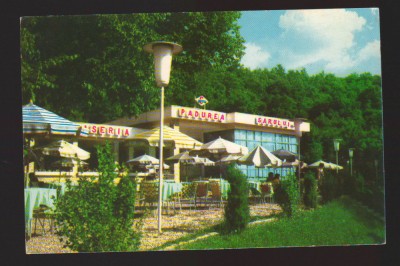 CPIB 22815 - CARTE POSTALA - PADUREA SARULUI, OLT, NECIRCULATA foto