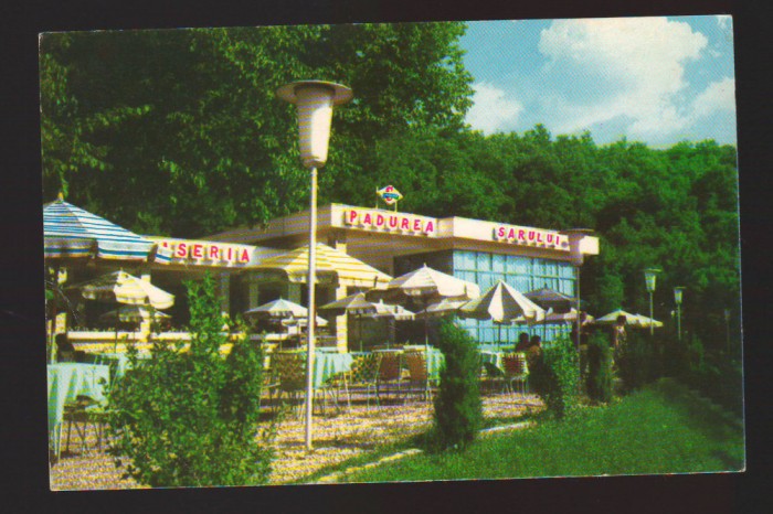 CPIB 22815 - CARTE POSTALA - PADUREA SARULUI, OLT, NECIRCULATA