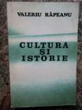 CULTURA SI ISTORIE - VALERIU RAPEANU