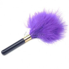 Purple Color Lovers Feather Tickler foto