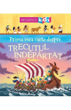 Prima mea carte despre trecutul indepartat - Matthew Oldham - Niculescu