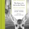 The Original Bambi: The Story of a Life in the Forest