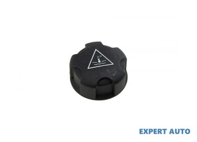 Capac vas expansiune MINI Countryman (2010-2016) [R60] #1 foto
