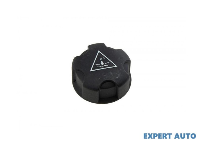 Capac vas expansiune MINI Countryman (2010-2016) [R60] #1