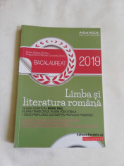 Sinteze/Teste/Variante - Limba si literatura romana - Bacalaureat 2019 foto