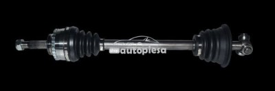 Planetara RENAULT CLIO II (BB0/1/2, CB0/1/2) (1998 - 2005) RINGER 1131006009 foto