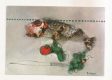 FA124 -Carte Postala- ITALIA - Bacosi. Natura Morta, necirculata