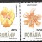 B0026 - Romania 1998 - Flori 4v. neuzat,perfecta stare