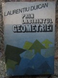 PRIN LABIRINTUL GEOMETRIEI-LAURENTIU DUICAN