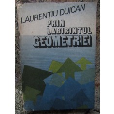 PRIN LABIRINTUL GEOMETRIEI-LAURENTIU DUICAN