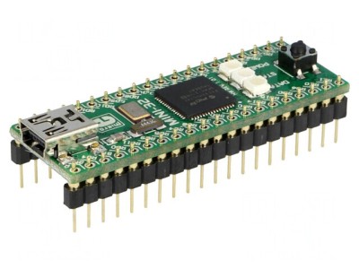 Placă Prototip Microchip PIC32 MINI-32 Board foto