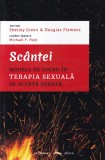 Carte Scantei. Modele de lucru in terapia - Editori Shelley Green, Douglas Flemons - 508 pagini, 2023, brosata, romana