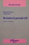 Revizuirea in procesul civil. Practica judiciara - Mona-Maria Pivniceru, Georgeta Protea