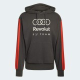 Audi F1 hanorac de bărbați cu glugă DNA grey F1 Team 2026 - M