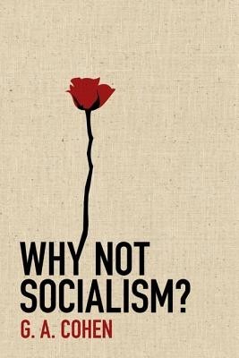 Why Not Socialism? foto