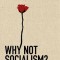 Why Not Socialism?