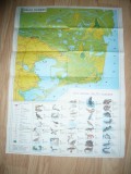 Harta - Pliant turistic Delta Dunarii , dim.= 66x48cm