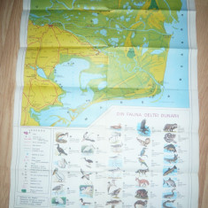 Harta - Pliant turistic Delta Dunarii , dim.= 66x48cm