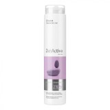 Sampon impotriva caderii parului Zen Active Z12r 250ml, Erayba