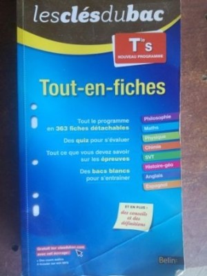Tout-en-fiches-Les cles du bac foto