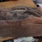 Posetea Halluber 37 X 16 X 7 cm #Han