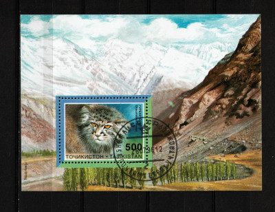Timbre Tadjikistan, 1996 | Pisică sălbatică - Animale, Natură | Coliţă | aph foto