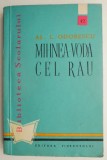 Mihnea-Voda cel rau &ndash; Al. I. Odobescu - Roman - Sublinieri
