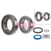 FAG Set rulment roata