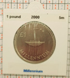 Irlanda 1 punt pound 2000 - Millennium - km 31 - G011