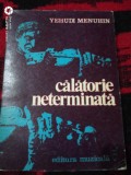 Calatorie neterminata-Yehudi Menuhin