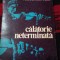 Calatorie neterminata-Yehudi Menuhin