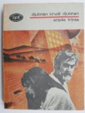 Aripile frante - Djubran Khalil Djubran - Roman clasic, carte de beletristica