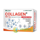 Colagen Hidrolizat Peptide (Collagen+ Colpropur&reg; D Quick) 500mg 30cps