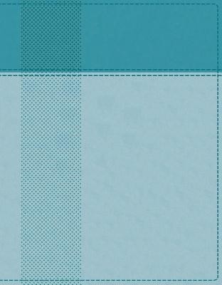 Niv, Starting Place Study Bible, Leathersoft, Blue, Comfort Print: An Introductory Exploration of Studying God&amp;#039;s Word foto