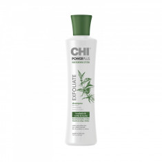 Sampon pentru par si scalp Chi Power Plus Exfoliate, 355ml foto