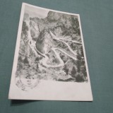 CARTE POSTALA CHEILE BICAZULUI -SERPETINA CIRCULATA