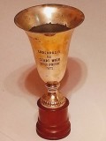 Trofeu Cupa Wiener Sporttage 1972, 29cm - Cupa Sport Colectie