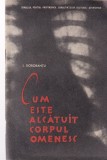 Carte Cum este alcatuit corpul omenesc - I. Dorobantu, Anatomie, 1962, Brosata, 47 Pagini, Romana, 13x20cm
