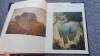 Album arta Romantismul german, Marius Tataru Meridiane 1991, 32 pag, Cartonata